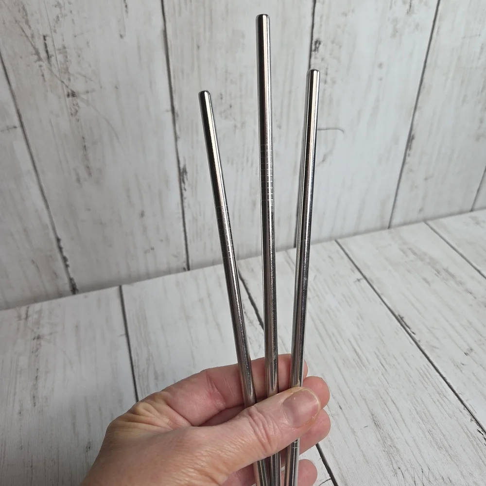 Stainless Steel Straws - Set of 3 NWOT